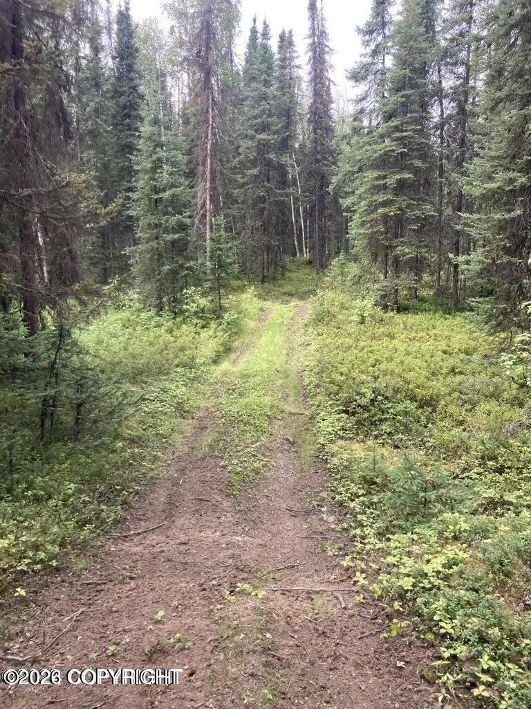 A003 N Kerrylynn Lane, Wasilla, AK 99623 - #1