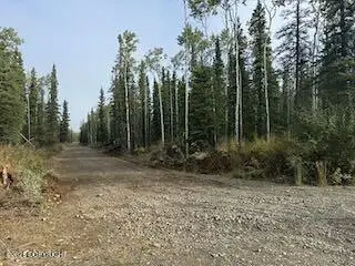 Lot 15 Drucke Miller Road, Tok, AK 99780 - #3