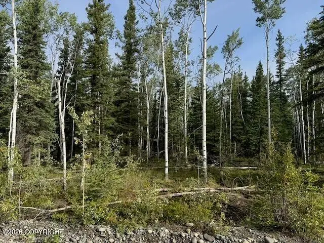 Lot 4 Butch Kuth Avenue, Tok, AK 99780 - #2