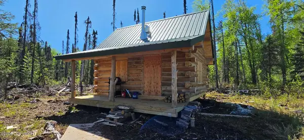 Tr 29 Amber Lake, Trapper Creek, AK 99683