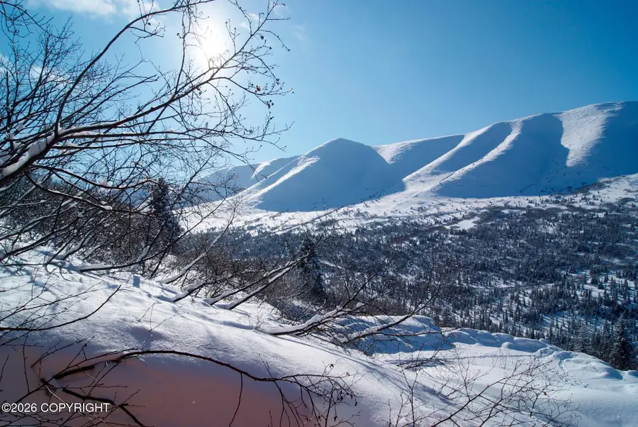 4025 Cotton Grass Drive, Eagle River, AK 99577 - #2