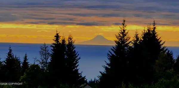 41236 Volcano View Court, Homer, AK 99603