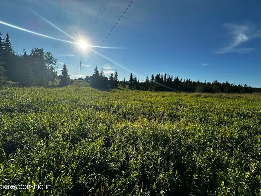 L2 Heath Circle, Soldotna, AK 99669 - #3