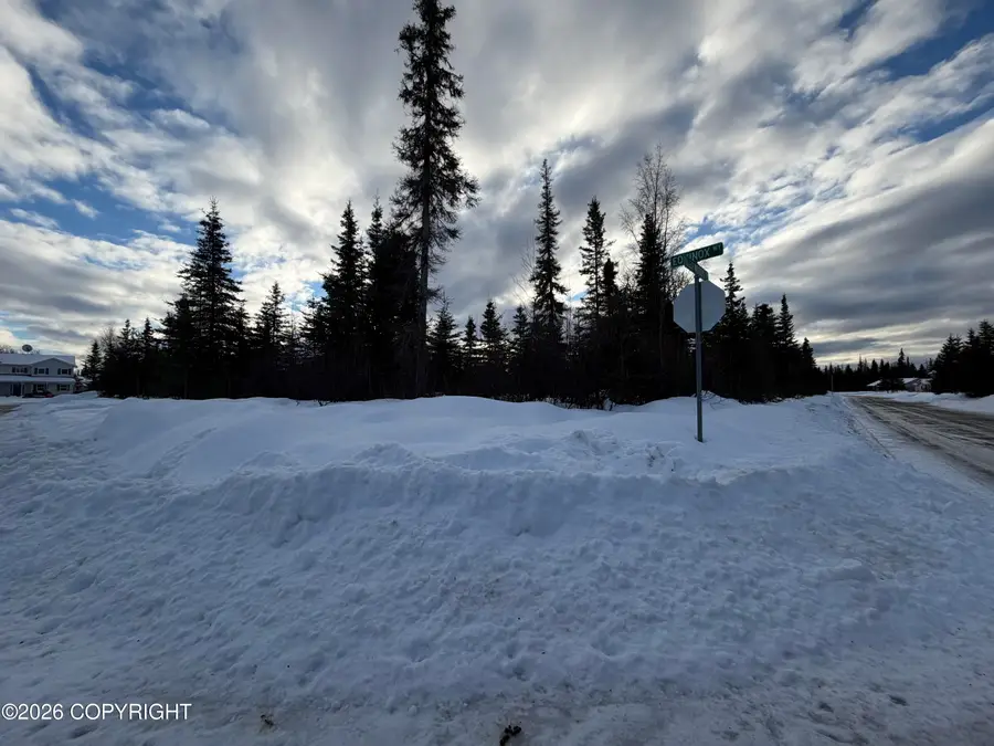 1117 Inlet Woods Drive, Kenai, AK 99611 - #3