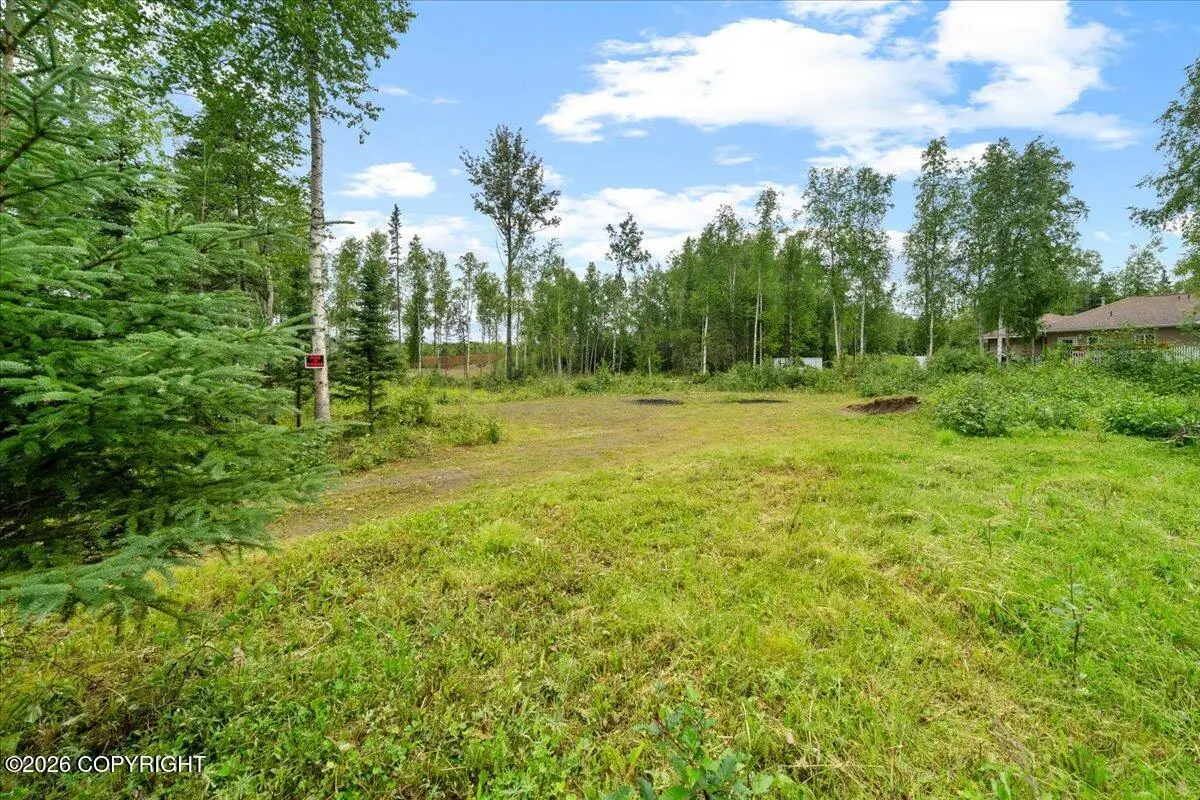 781 N Tammy Lane, Wasilla, AK 99623 - #1