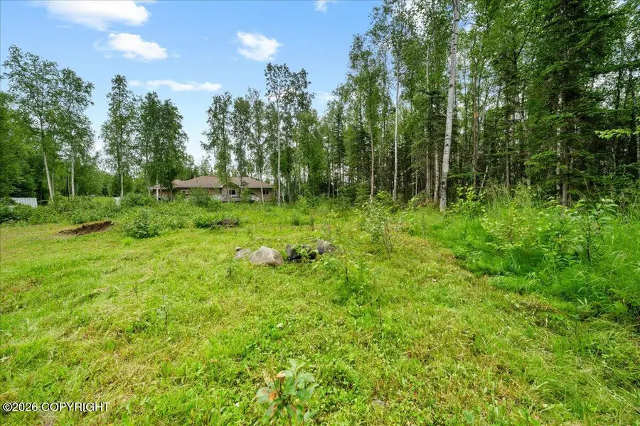 781 N Tammy Lane, Wasilla, AK 99623 - #2