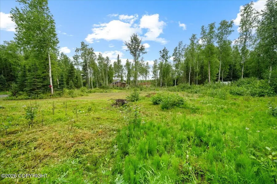 781 N Tammy Lane, Wasilla, AK 99623 - #3