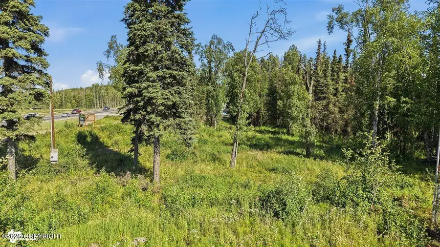 41397 Sterling Highway, Soldotna, AK 99669 - #3
