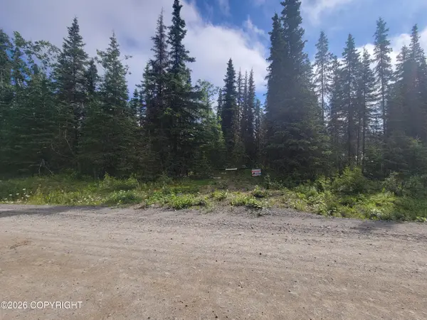 19290 Squirrel Street, Kasilof, AK 99610