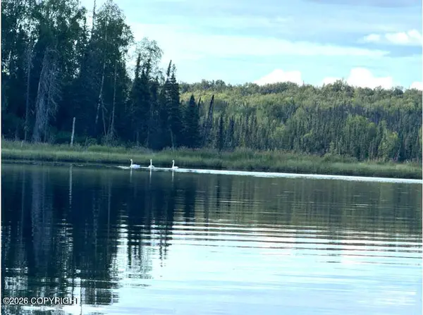 Tr A-B W Bj Lake, Skwentna, AK 99688