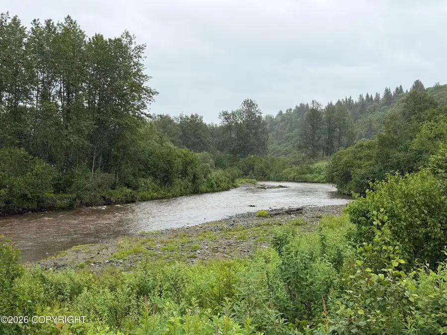 16502 Happy O Avenue, Ninilchik, AK 99639 - #2