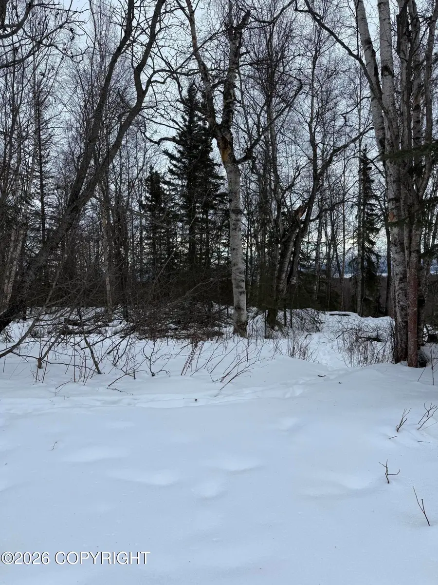 L2 Redington Estates, Wasilla, AK 99623 - #3
