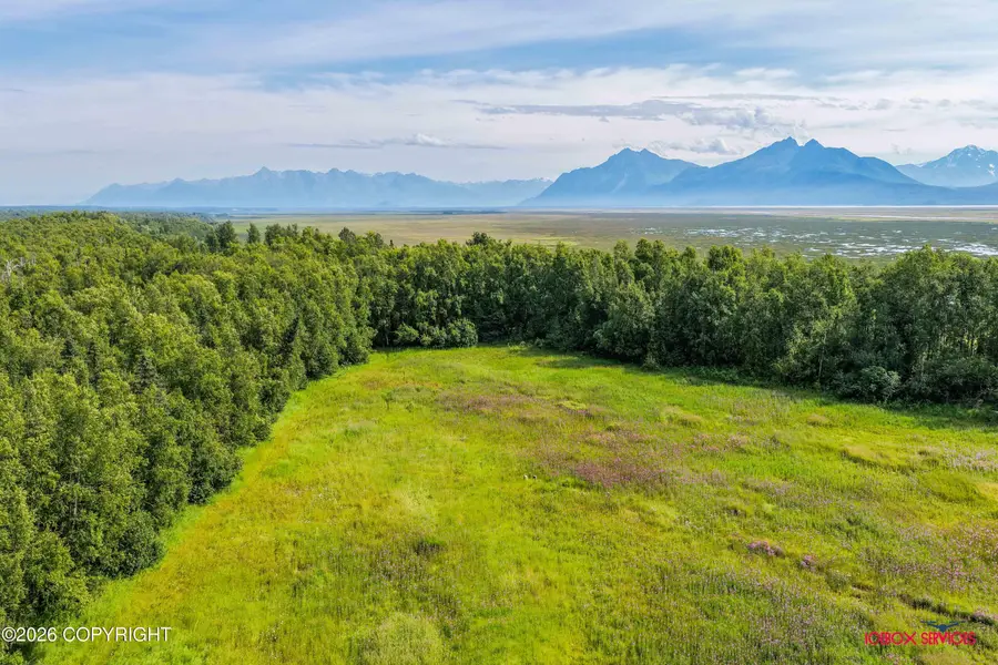 4459 W Sedlar Circle, Wasilla, AK 99623 - #3