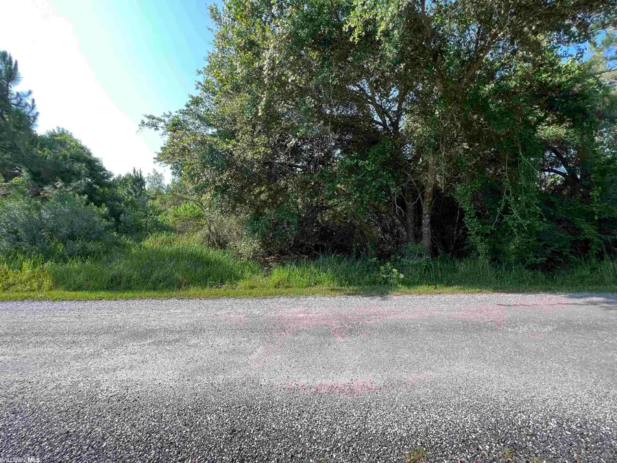 0 Robinson Lane, Gulf Shores, AL 36542 - Image #3
