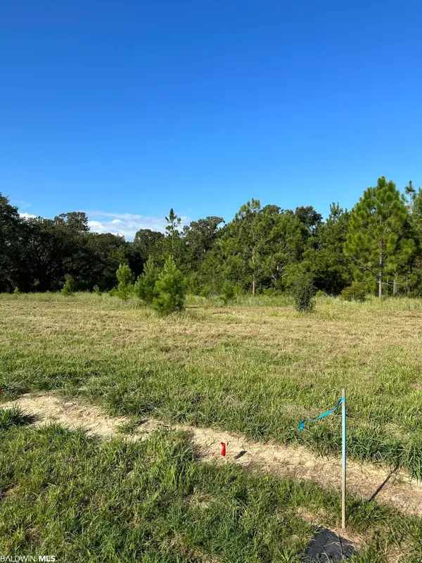 0 Hampton Ridge Court, Mobile, AL 36608