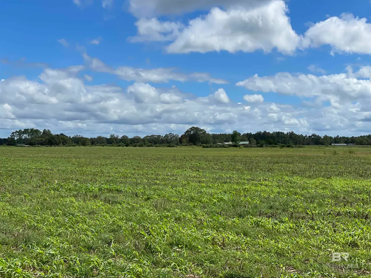 5700 Block Pine Forest Road, Walnut Hill, FL 32568 - #1