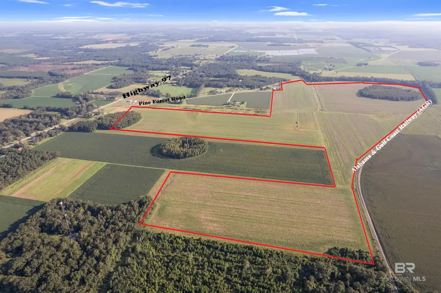 5700 Block Pine Forest Road, Walnut Hill, FL 32568 - #2