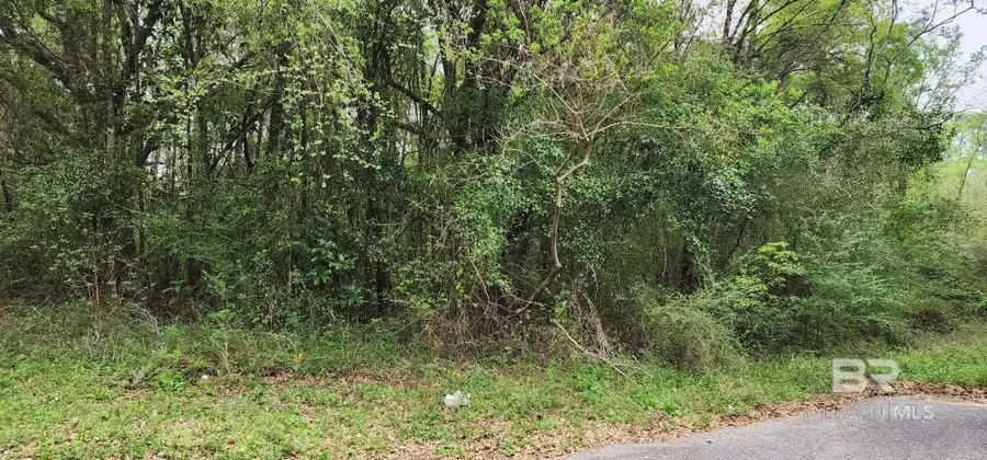 0 Mill House Drive, Mobile, AL 36619 - Image #2