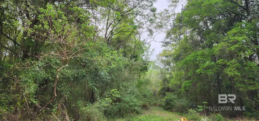 0 Mill House Drive, Mobile, AL 36619 - Image #3