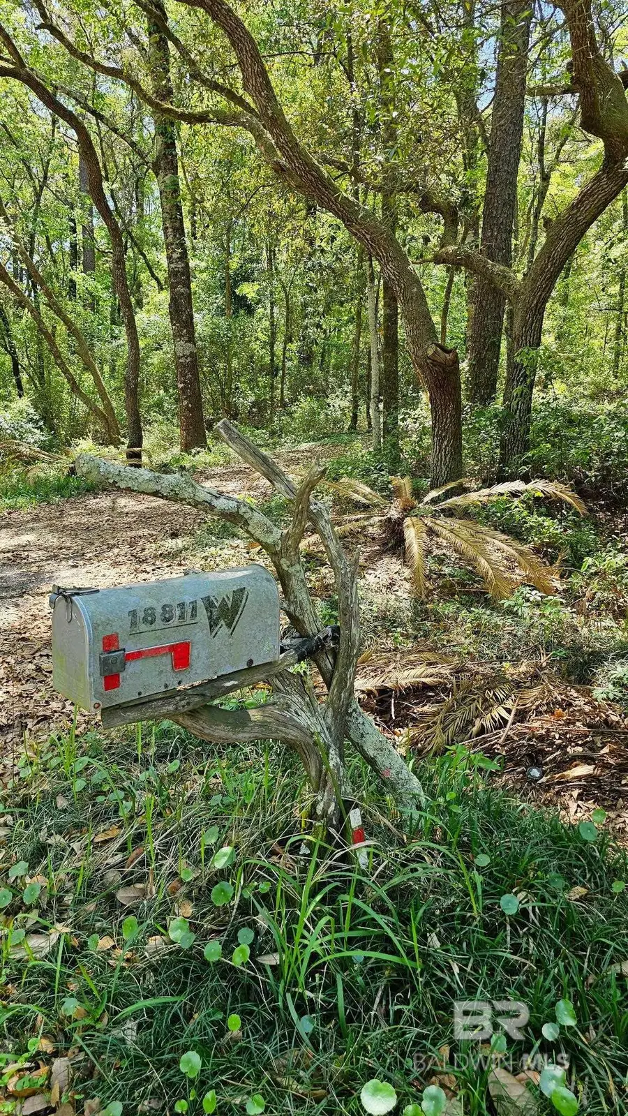 #3