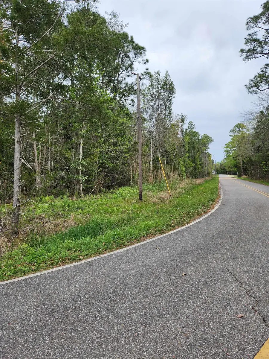 0 7th Street, Lillian, AL 36549 - #2