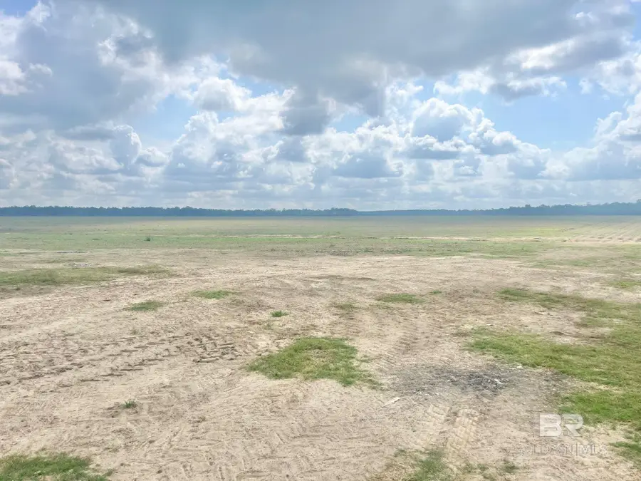 900 Block Highway 97, Molino, FL 32577 - Image #2