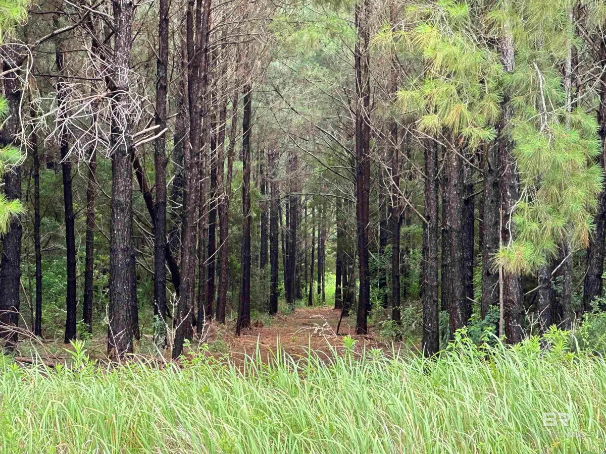0 James Road, Foley, AL 36535 - Image #1