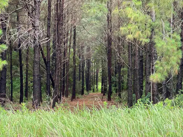 0 James Road, Foley, AL 36535