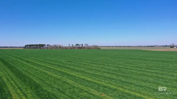 Lot 14 Davis Pond Road, Atmore, AL 36502