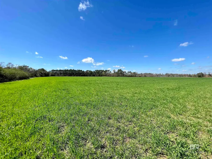 0 Pastoral Lane, Elberta, AL 36530 - #2