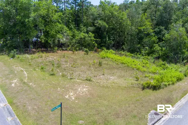 0 Stone Mill Drive, Mobile, AL 36619