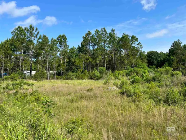 0 Robinson Lane, Gulf Shores, AL 36542