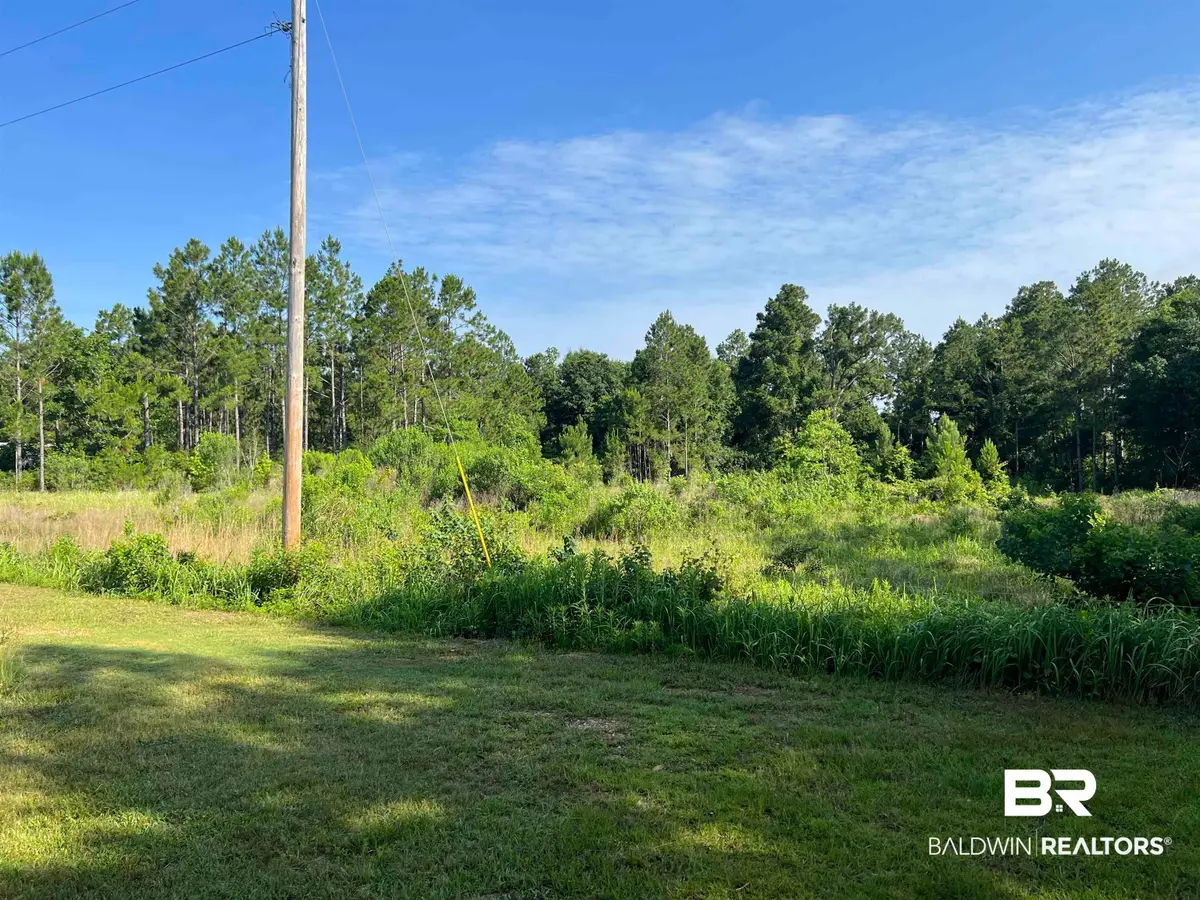 20979 Robinson Lane, Gulf Shores, AL 36542 - #1