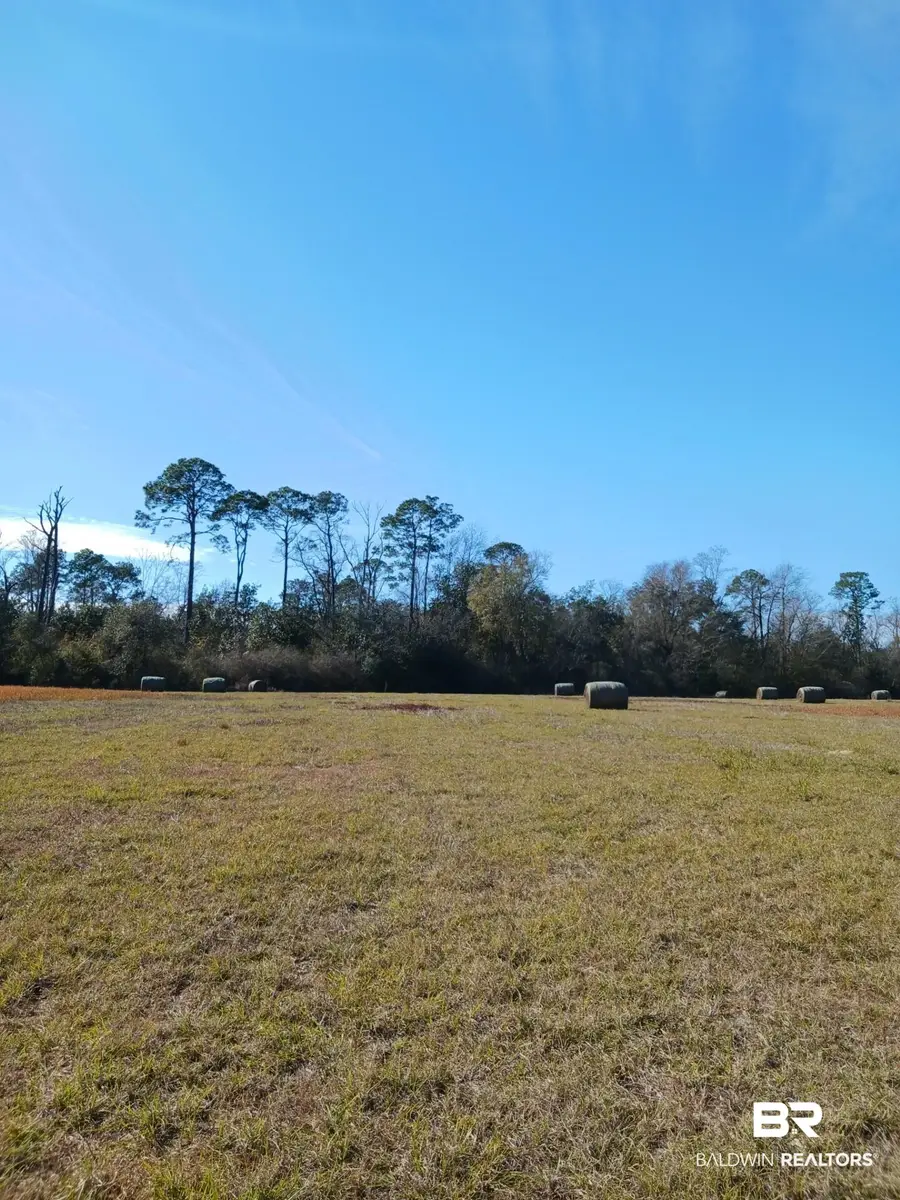 23486 County Road 36, Summerdale, AL 36580 - #2