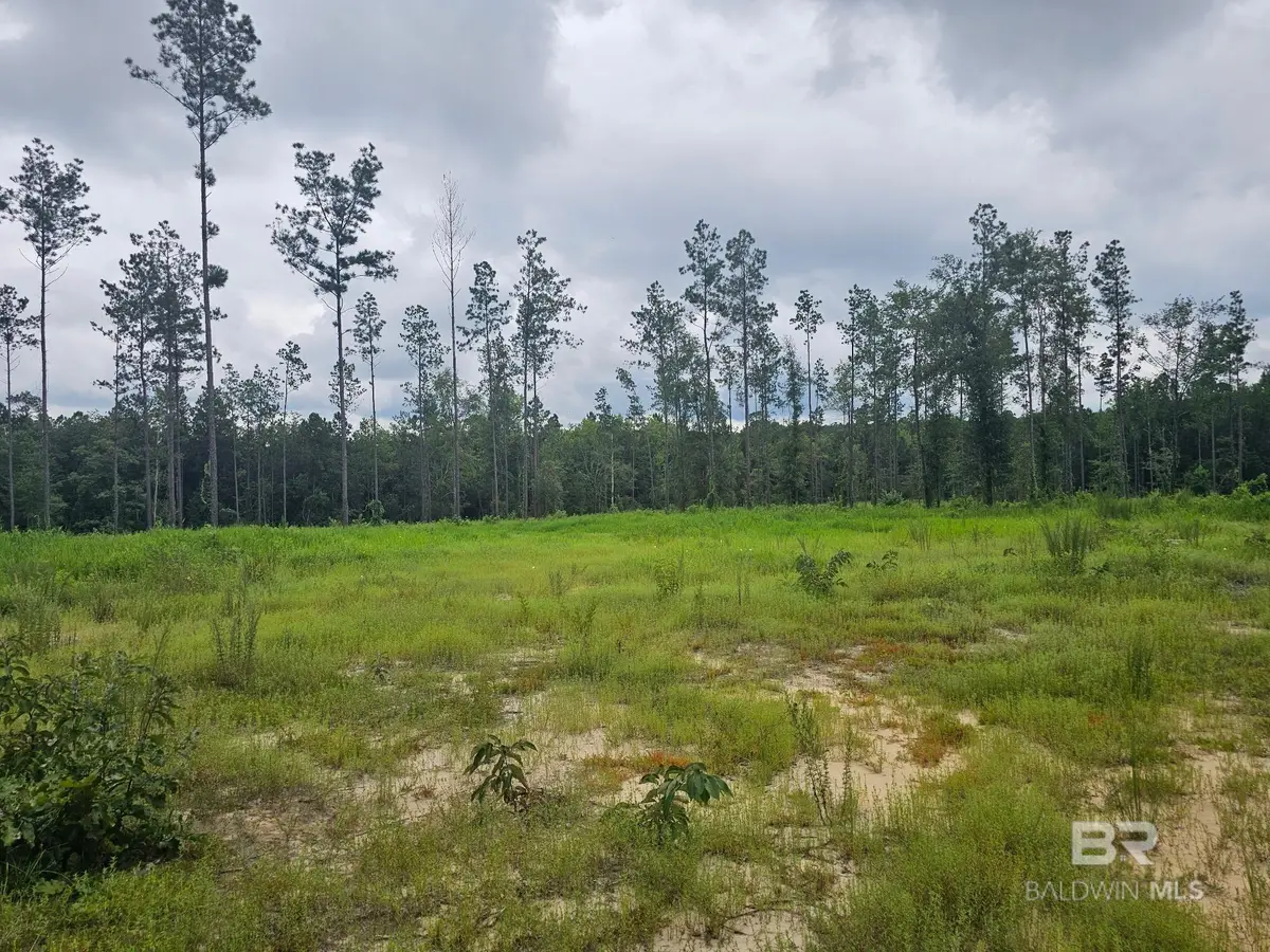23799 Lonnie Hadley Road, Perdido, AL 36562 - Image #1