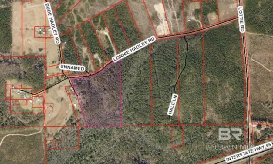 23799 Lonnie Hadley Road, Perdido, AL 36562 - Image #3