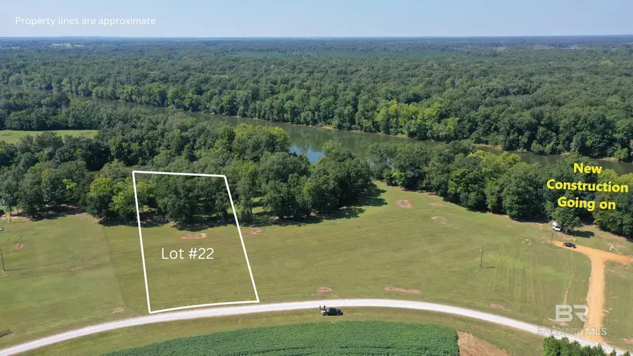 Lot 22 Judge Greene Place Road, Greensboro, AL 36744 - Image #3