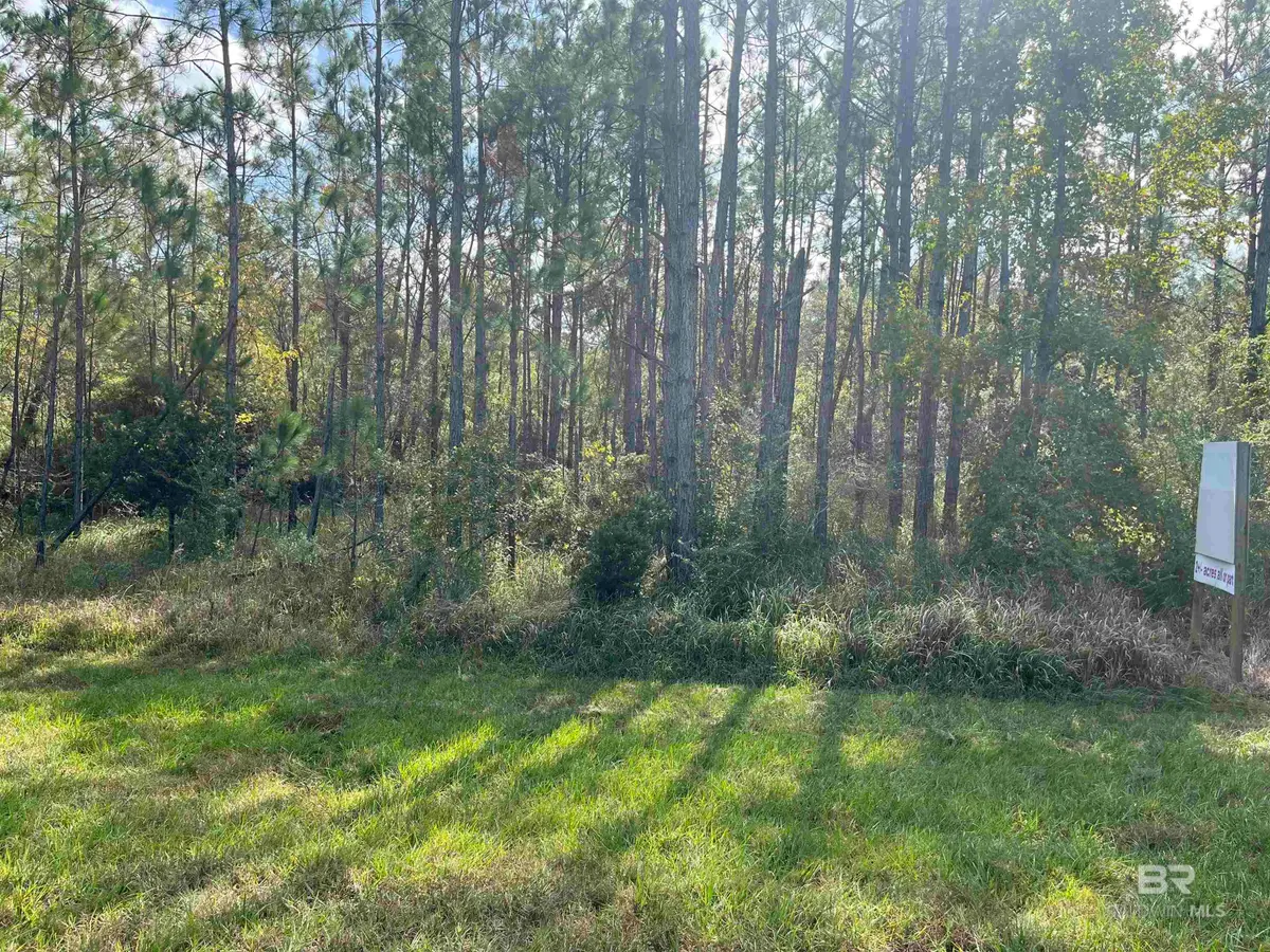 17058 Foley Beach Expressway, Foley, AL 36535 - #1