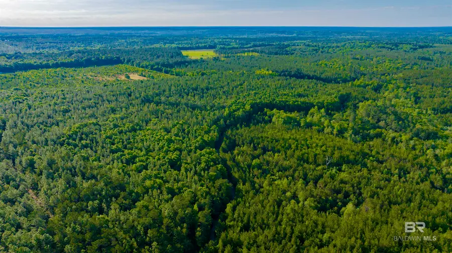 0 George Thomley Road, Perdido, AL 36562 - Image #2