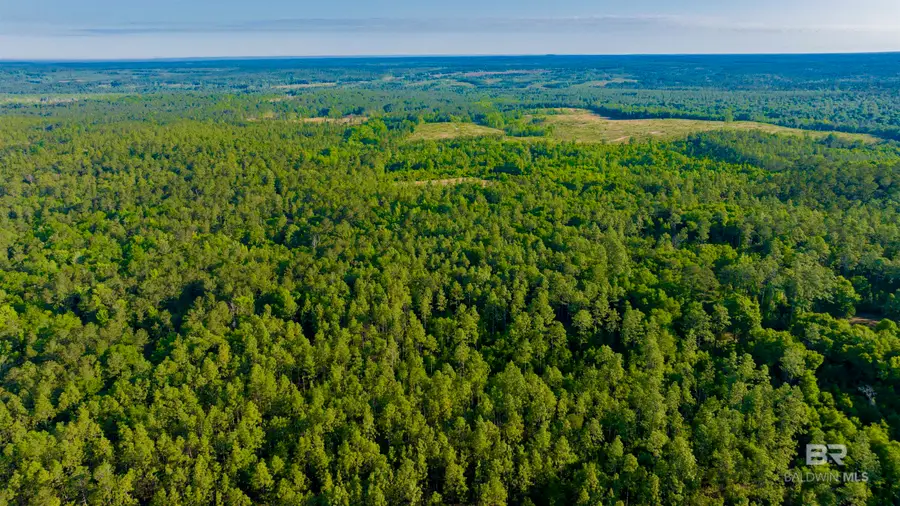 0 George Thomley Road, Perdido, AL 36562 - Image #3