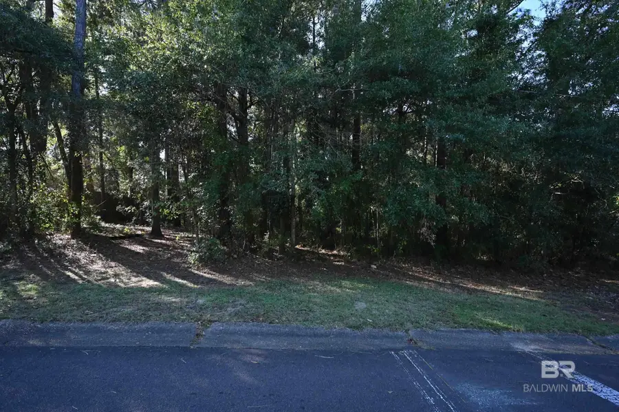 Lot 2B Rosa Avenue, Fairhope, AL 36532 - #3