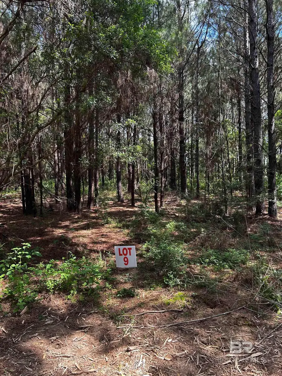 0 James Road, Foley, AL 36535 - #2