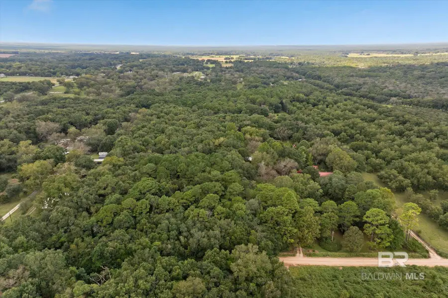 0 Dick Turner Road, Grand Bay, AL 36541 - #2