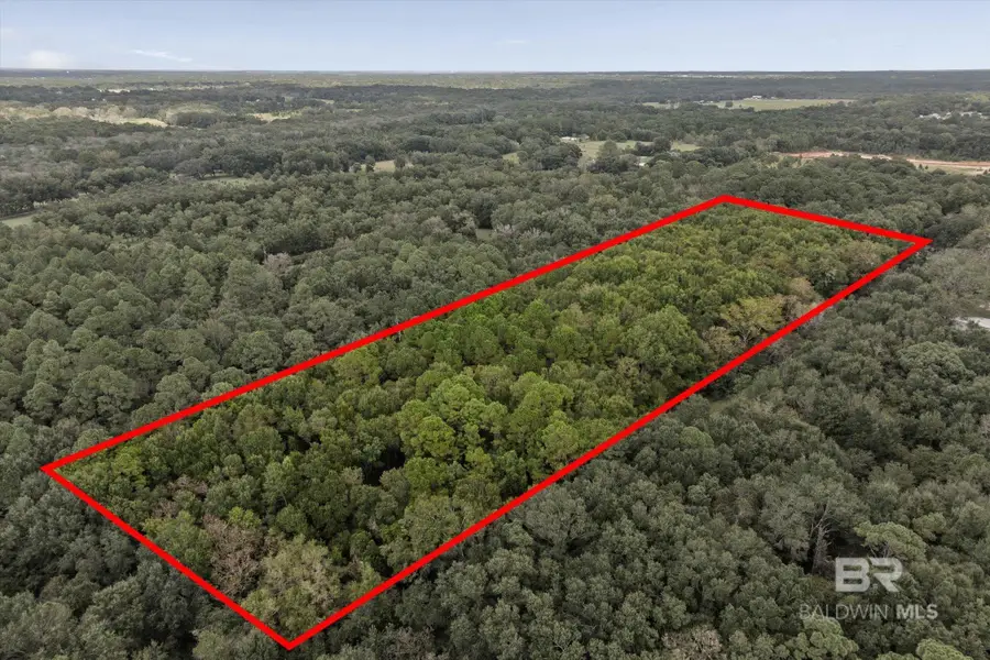 0 Dick Turner Road, Grand Bay, AL 36541 - #3