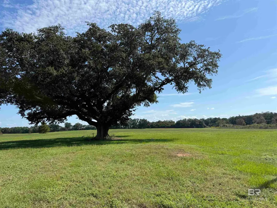 10010 Weeks Road, Foley, AL 36535 - Image #3