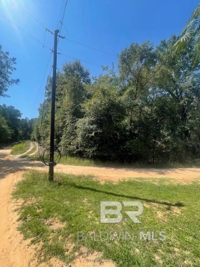 0 Mims Road, Chunchula, AL 36521 - Image #3