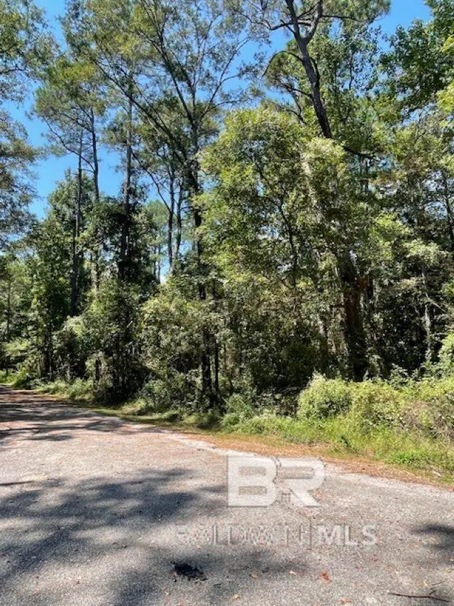 Lot 41 Caster Street, Mobile, AL 36605 - #1