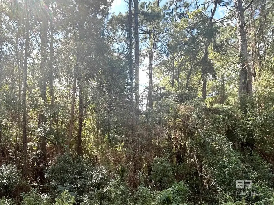 140 Buena Vista Drive, Daphne, AL 36526 - Image #3