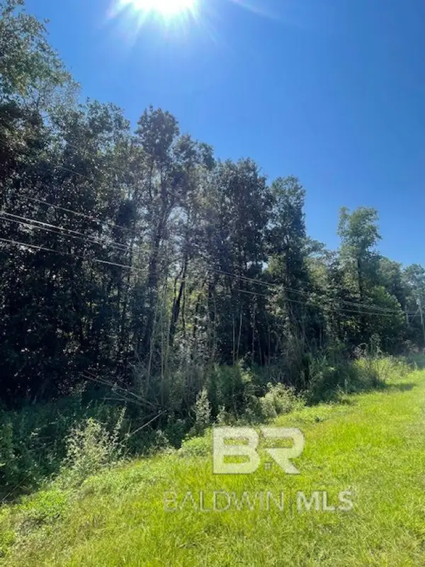 Lot 6 Belle Fontaine Boulevard, Theodore, AL 36582