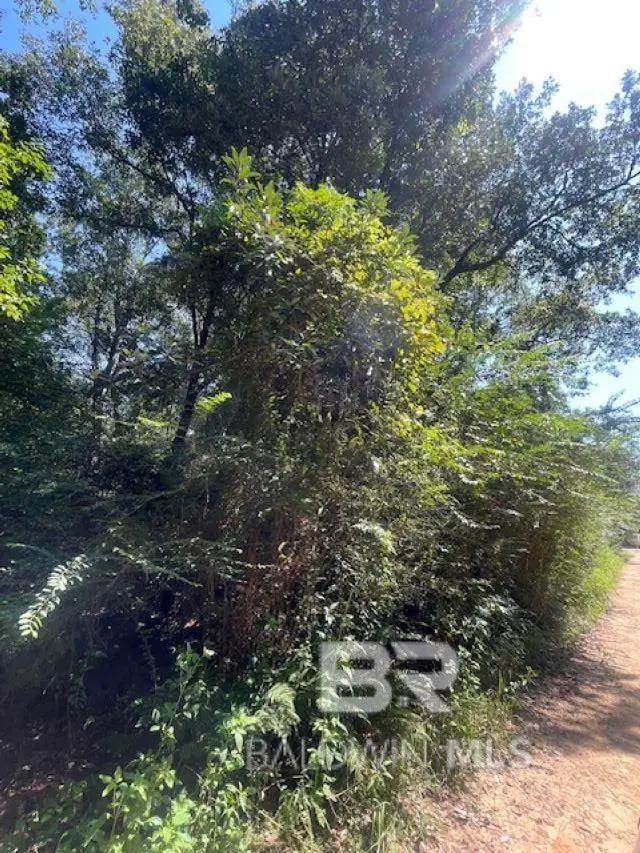 9309 3rd Avenue, Theodore, AL 36582 - Image #2